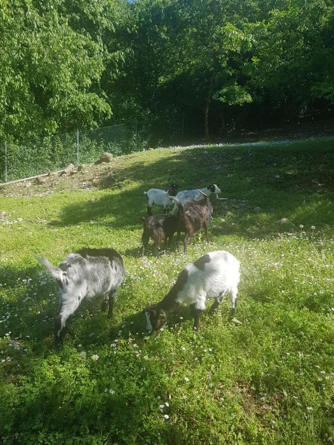 Agriturismo Scannaporco Cavriana المظهر الخارجي الصورة