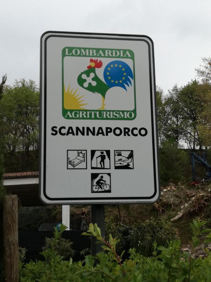 Agriturismo Scannaporco Cavriana المظهر الخارجي الصورة